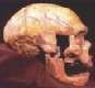 Feldhofer Neandertal