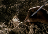 An Early Hominid